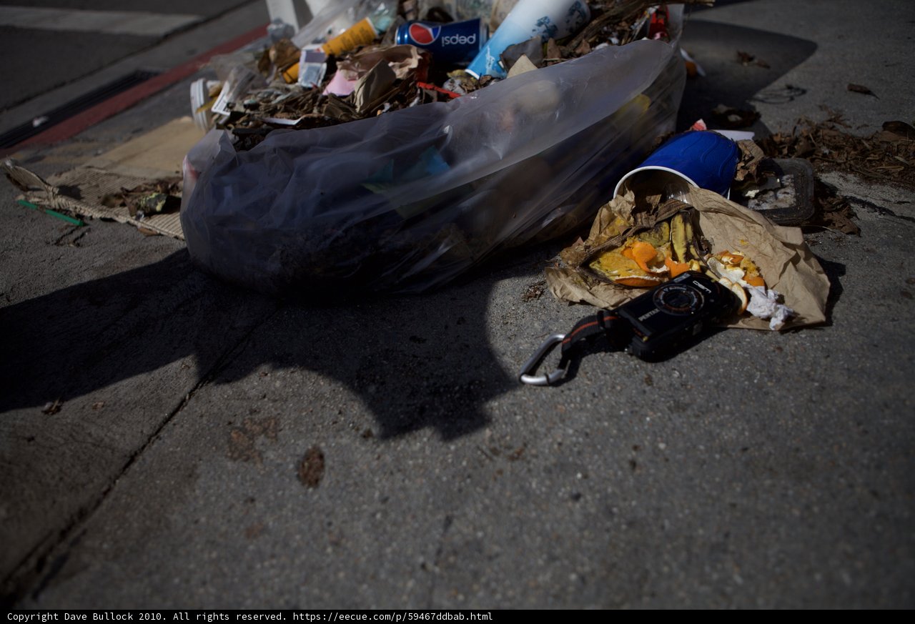 A Littered World