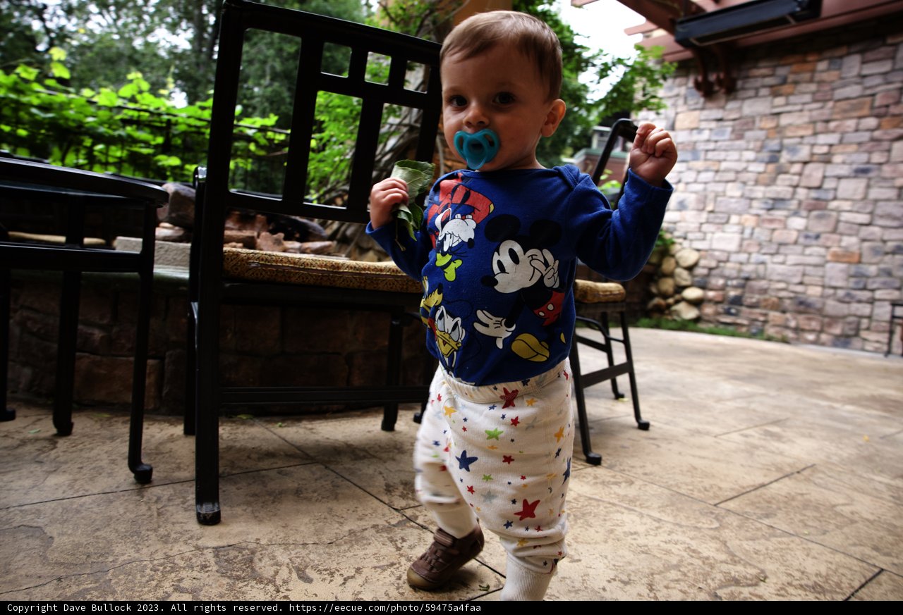 Little Explorer's First Steps