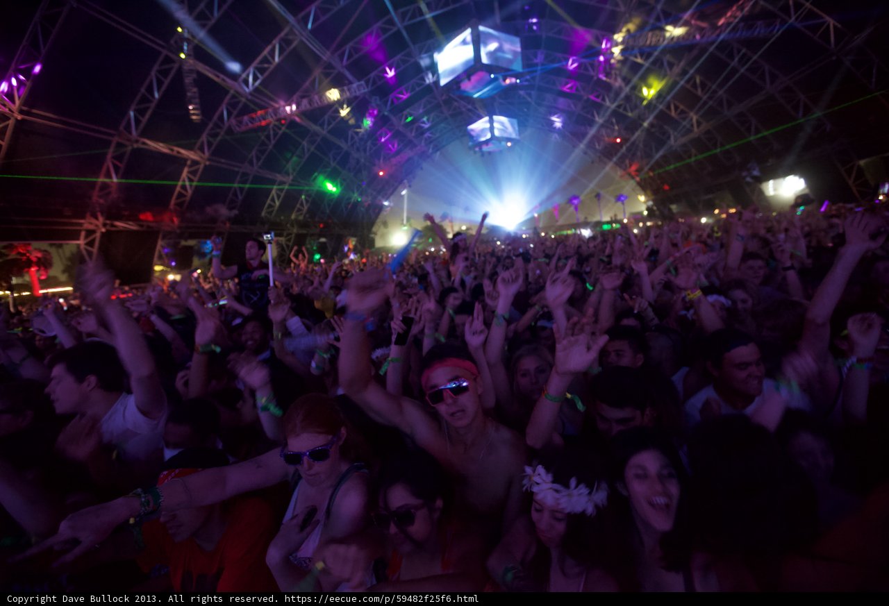 Coachella Crowd Goes Wild