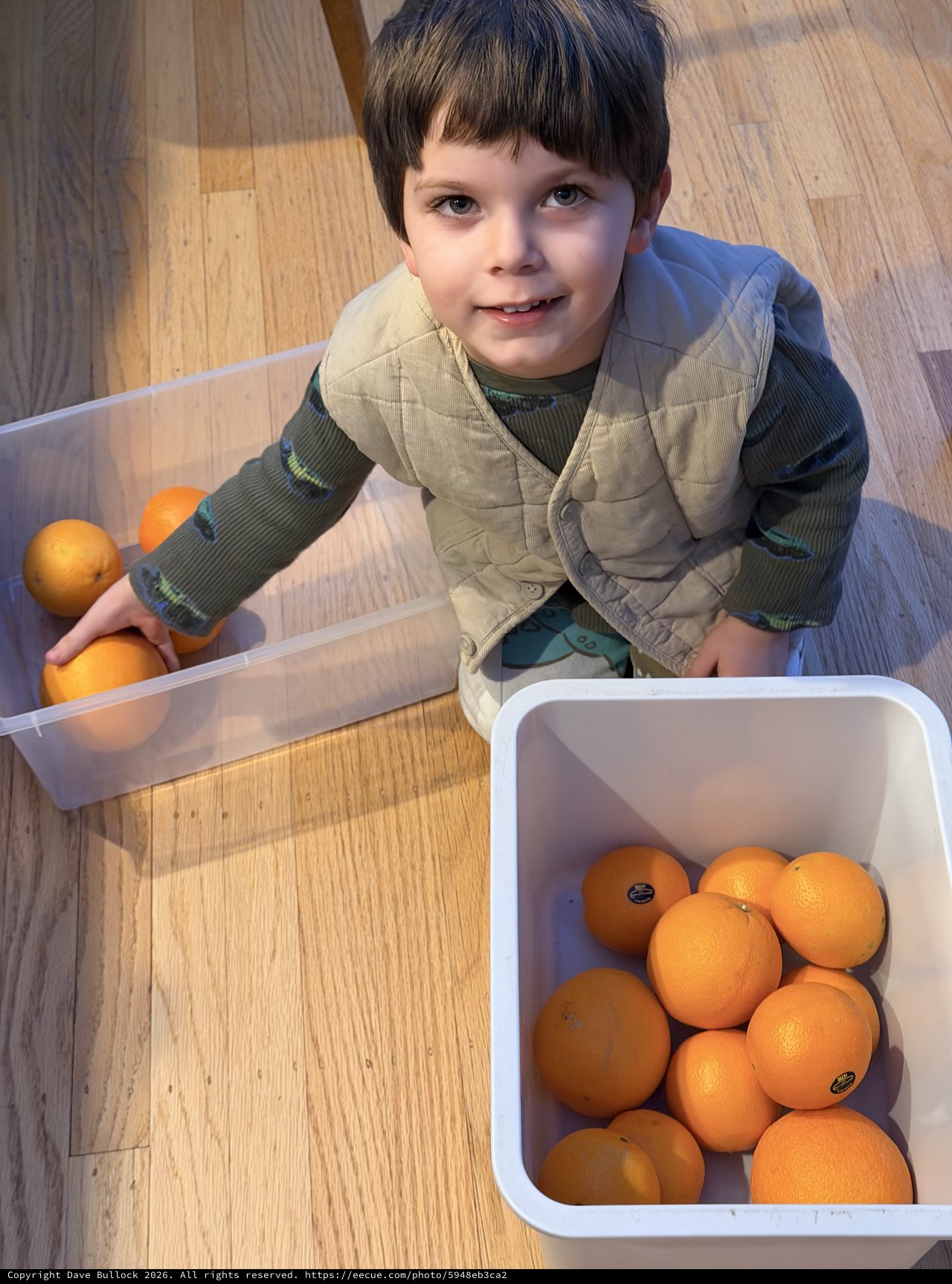 Young Boy Sorting Oranges on Kitchen Floor