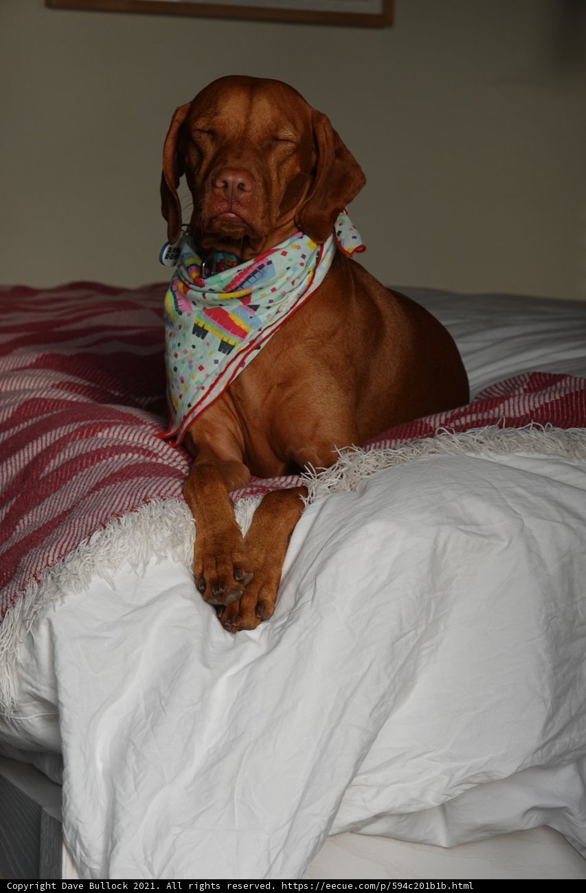 Snoozin' with Style