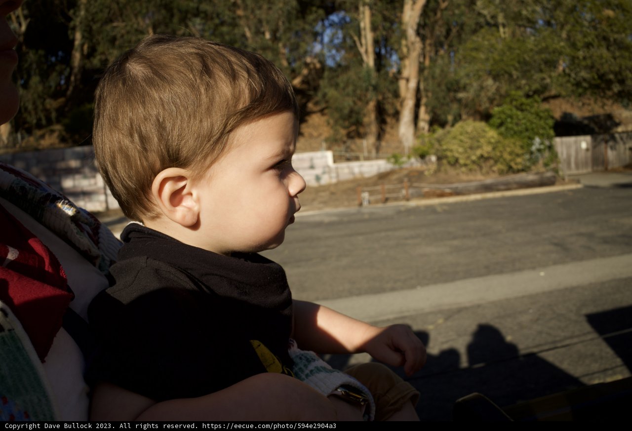 Wesley's Day Out at SF Zoo