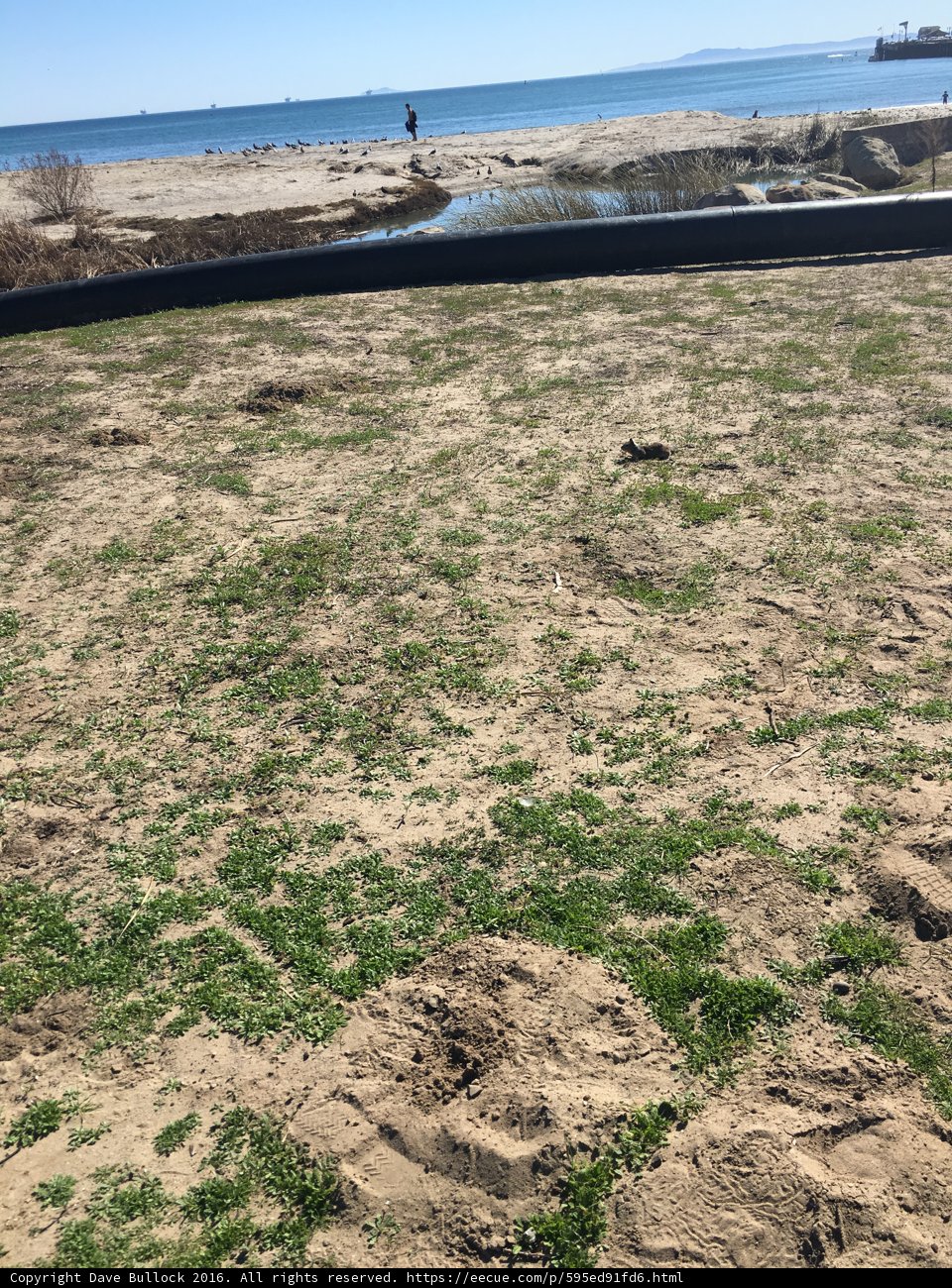 Natural Oasis