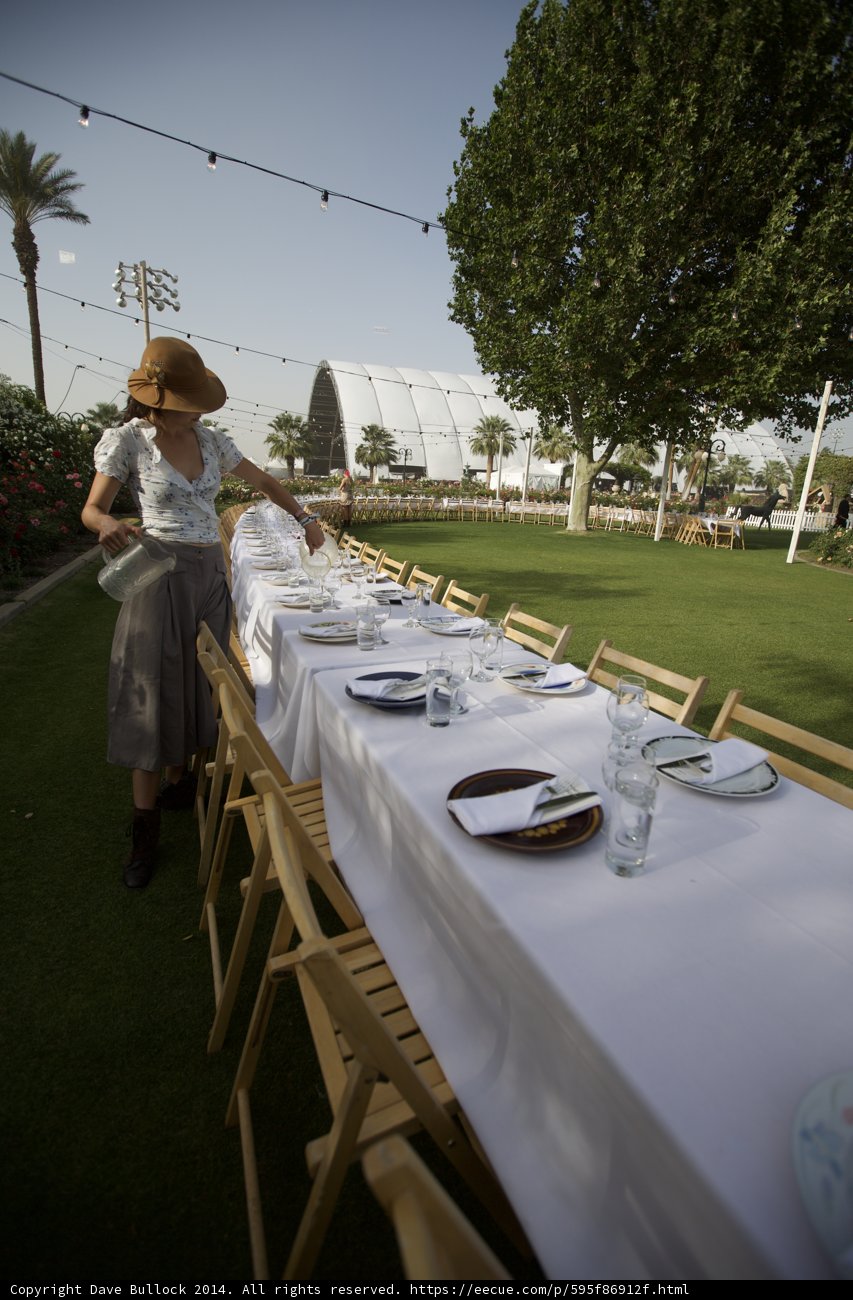 Setting a Table in the Grass