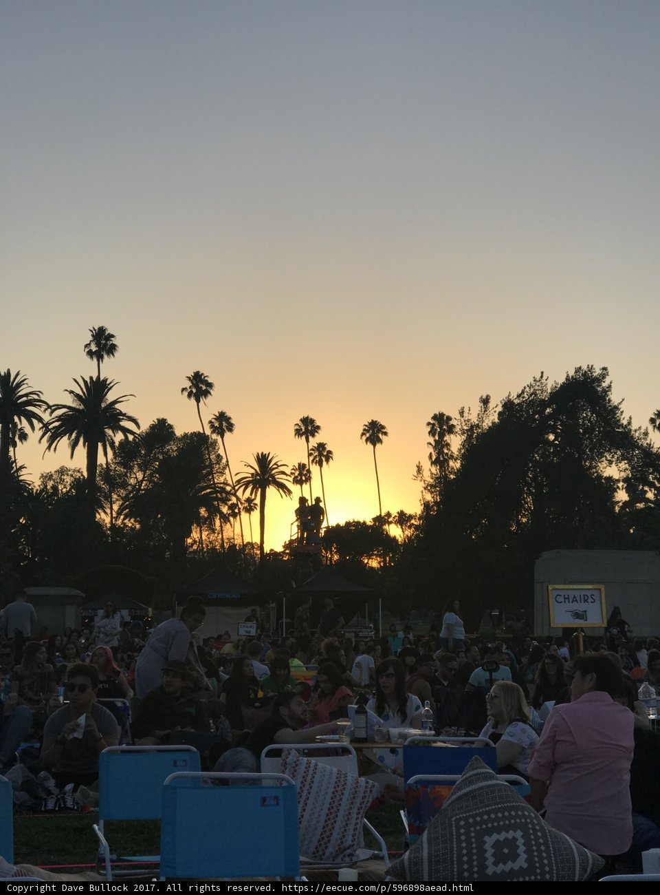 Summer Concert with Palm Trees