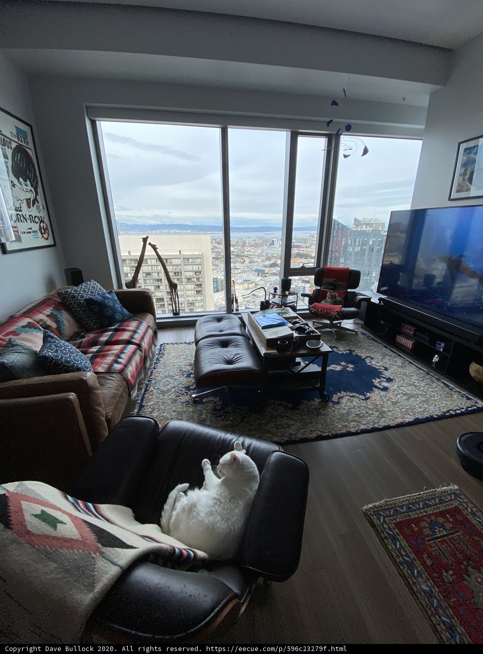 A Cozy Living Room in San Francisco