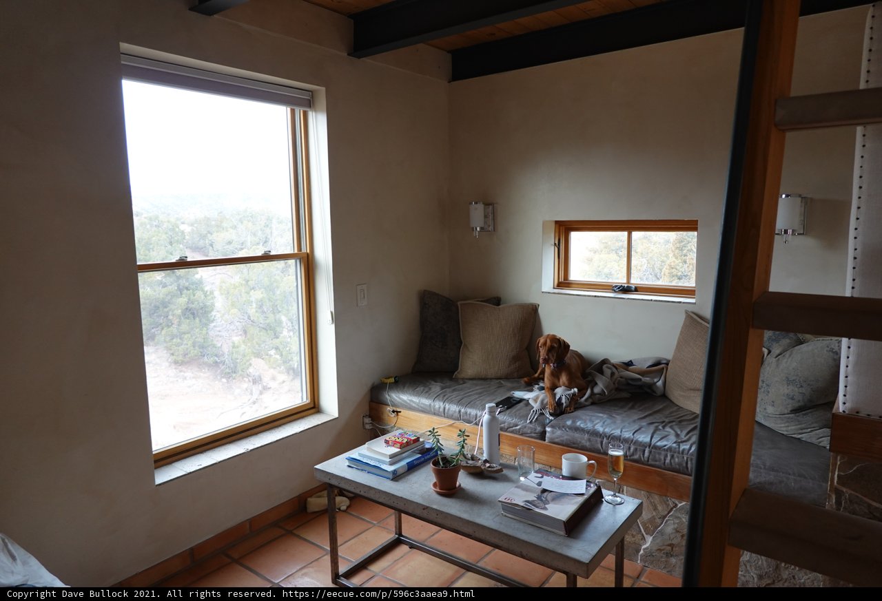 Man's Best Friend Takes a Seat in the Living Room