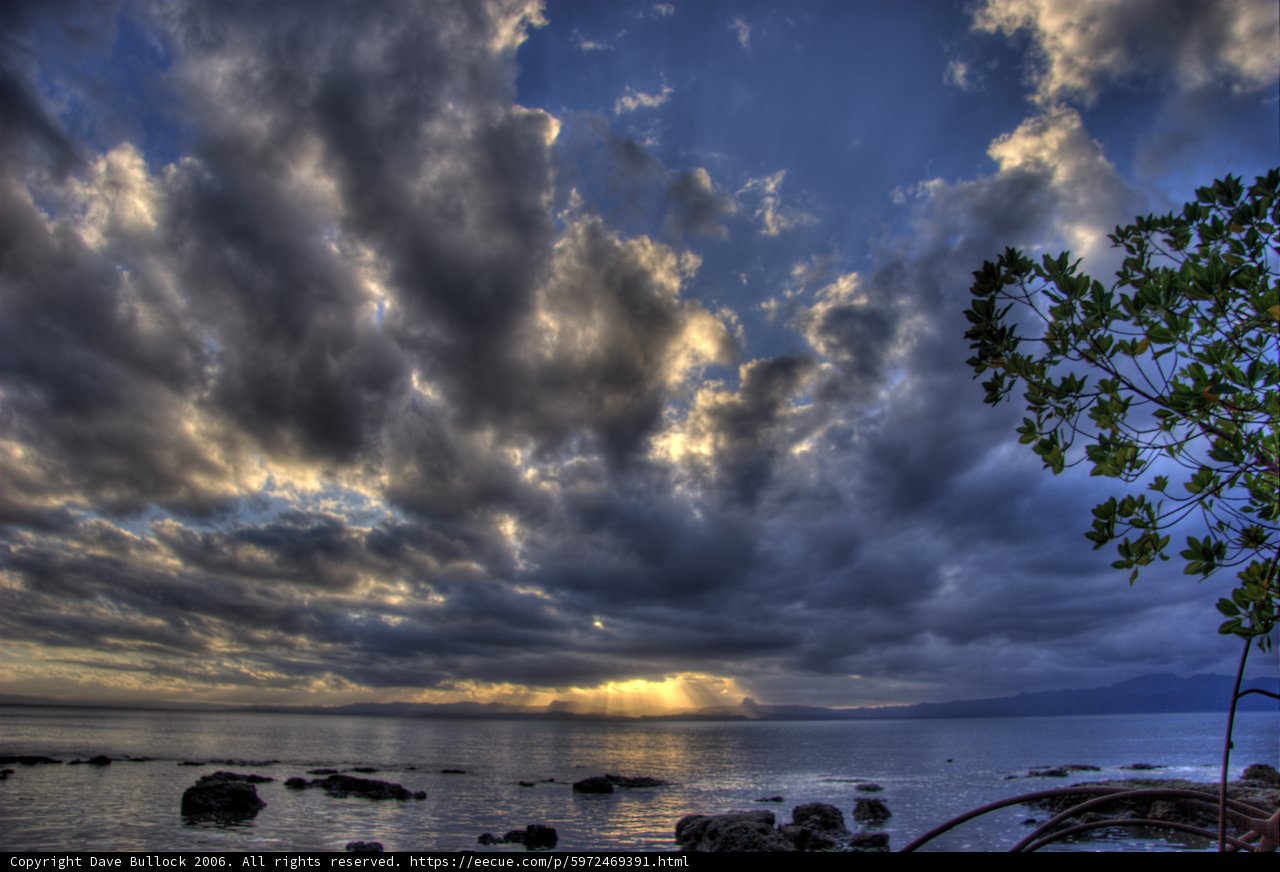 Majestic Cumulus Clouds Over Fiji Tree
