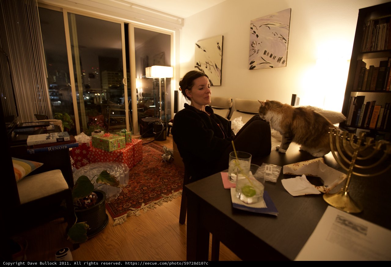 Holiday Evening with Cat and Menorah at Home