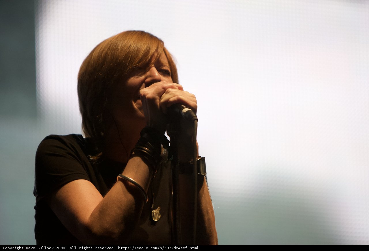 Captivating Concert Performance