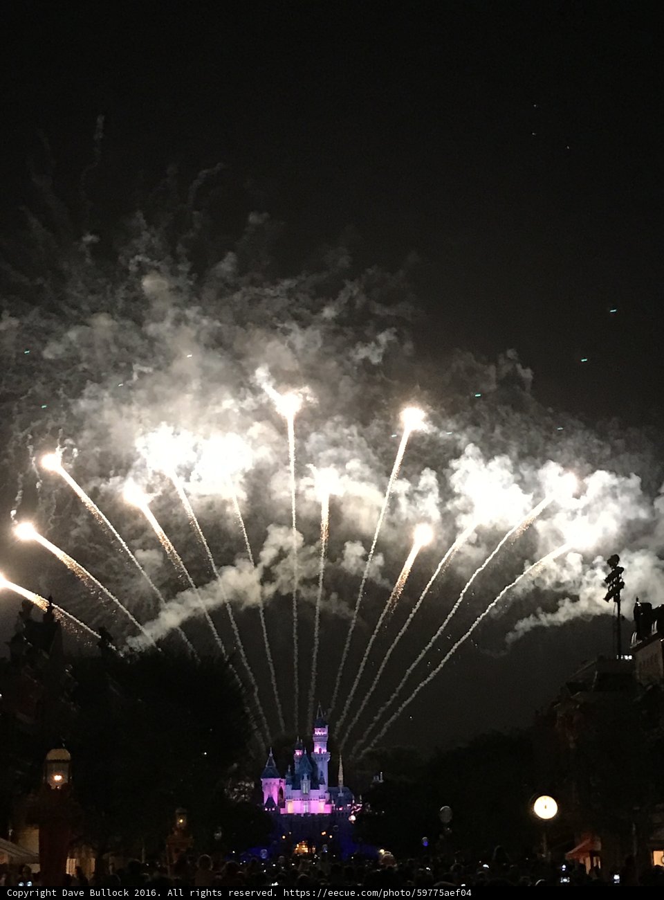 Disneyland Fireworks Spectacular