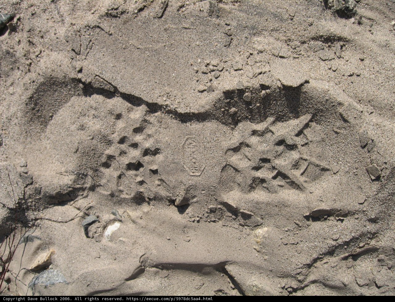 Sand, Soil, and Mud