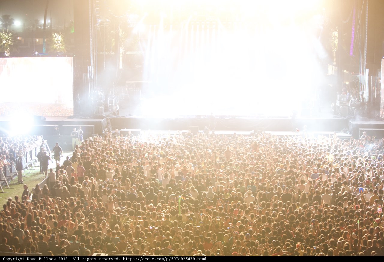 Festival Fever