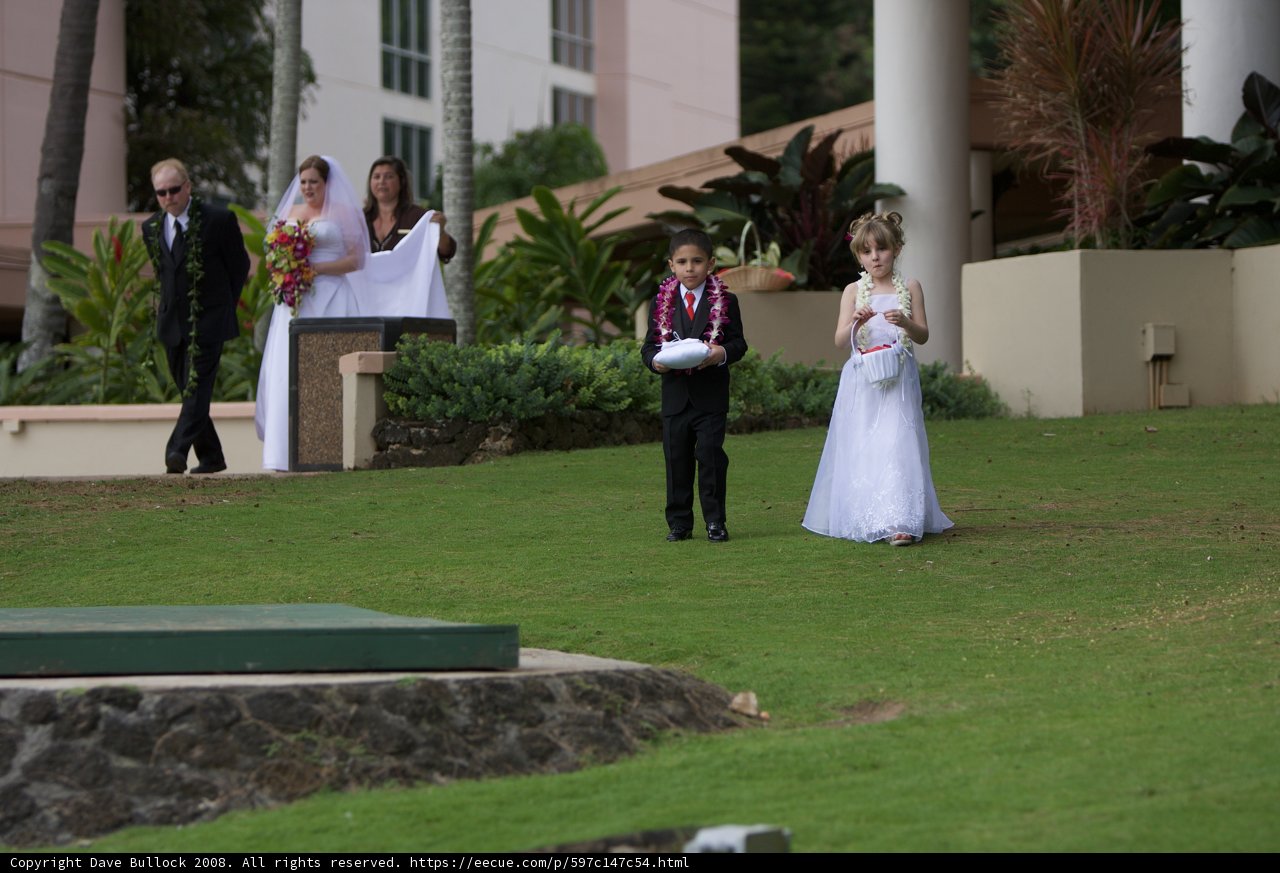 Hawaiian Wedding: A Bride and Groom Walk Down the Aisle