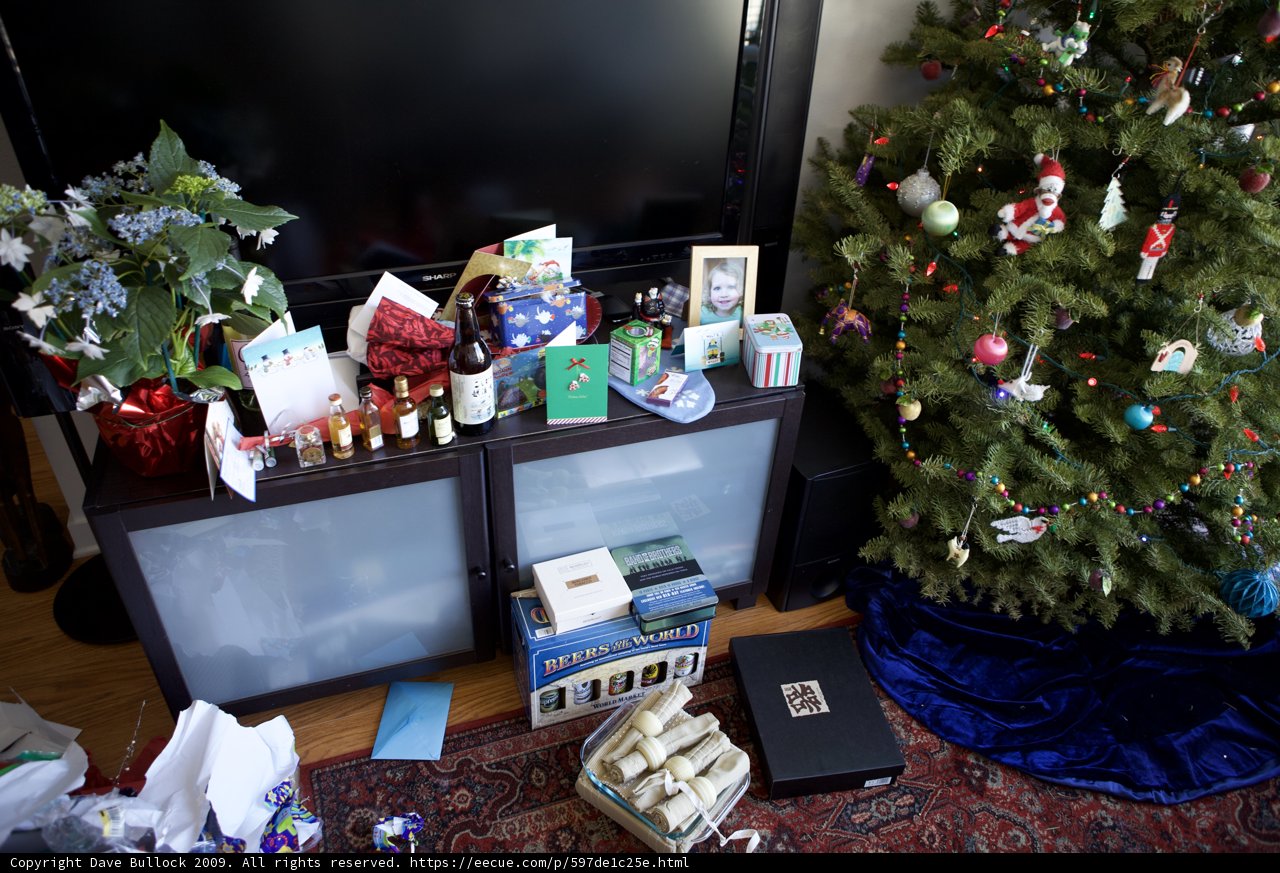 Festive Fir in a Cozy Living Room