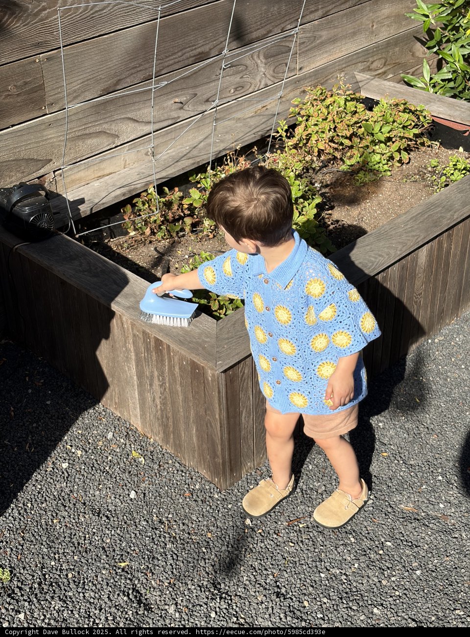 Little Gardener's Afternoon