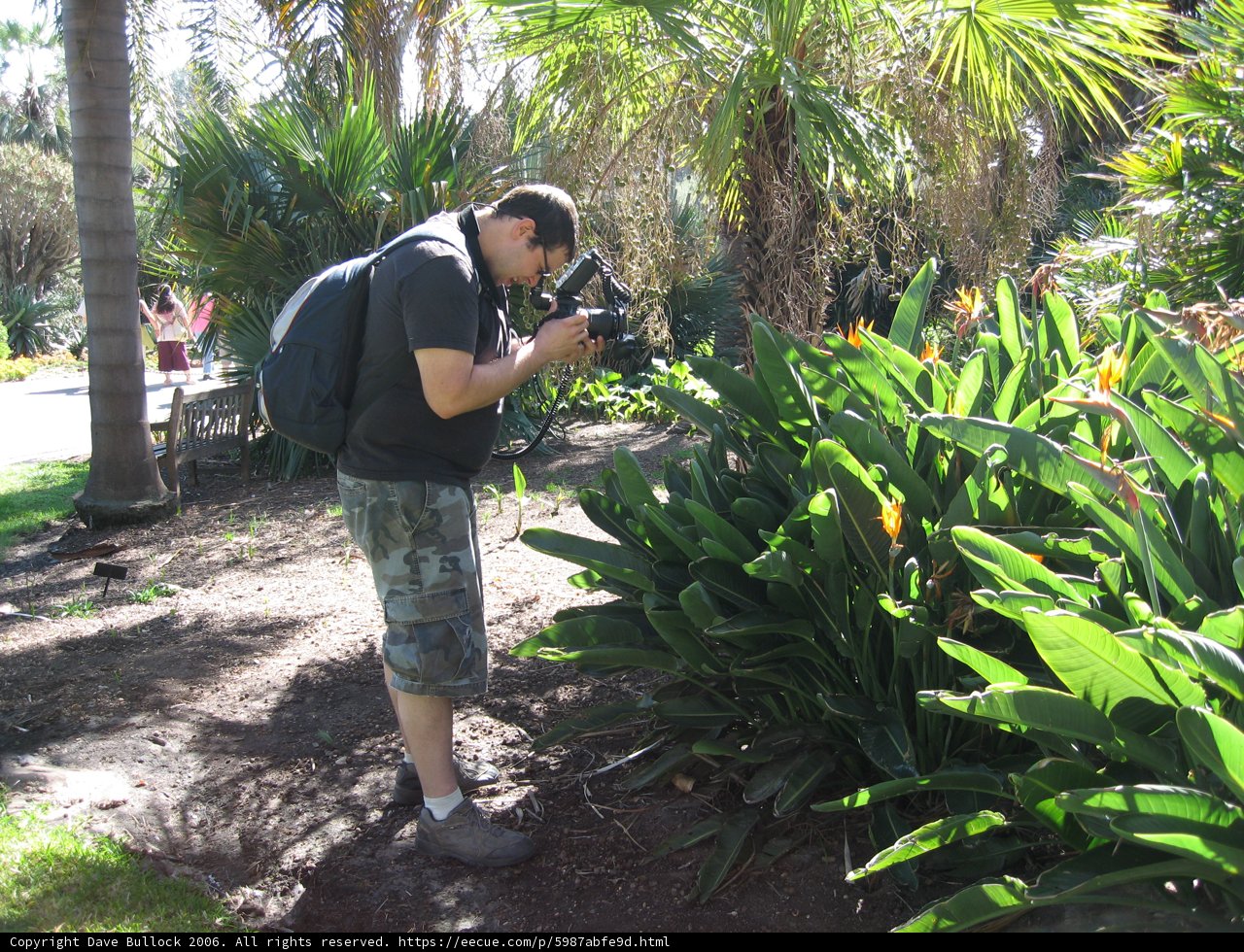 Plant Photography in the Garden