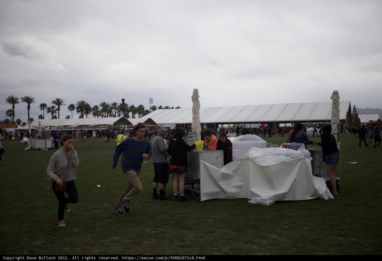 Gathering under the Canopy