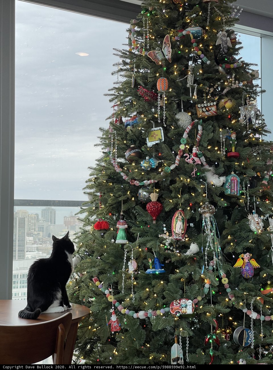 Furry Friend by the Christmas Tree