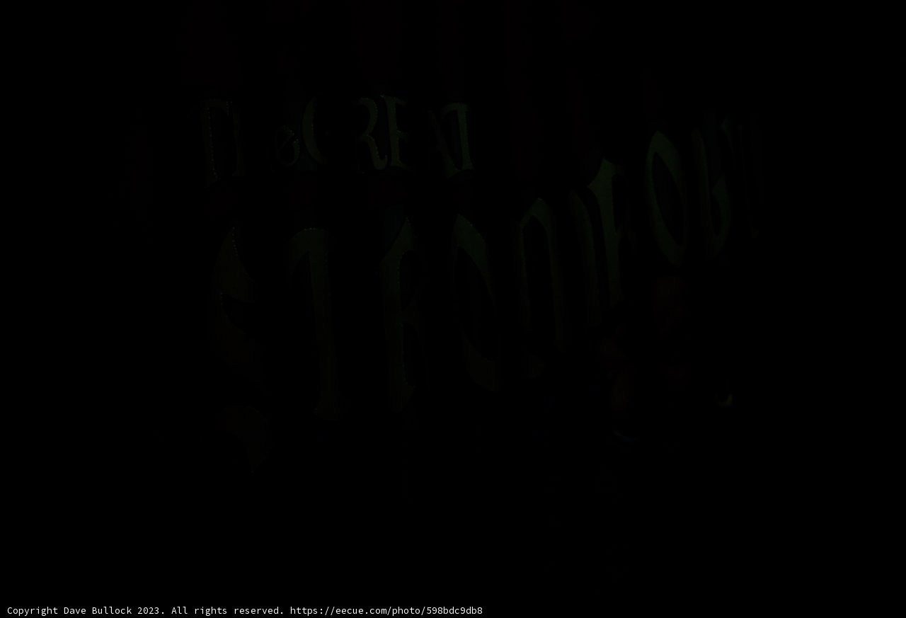Mysterious Dark Show at Disneyland