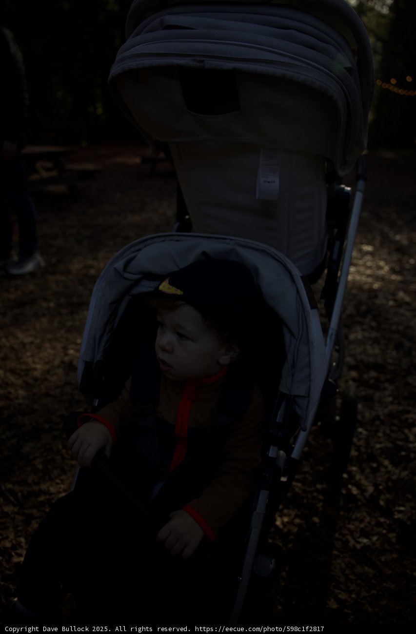 A Day at Thistlewyck Gardens