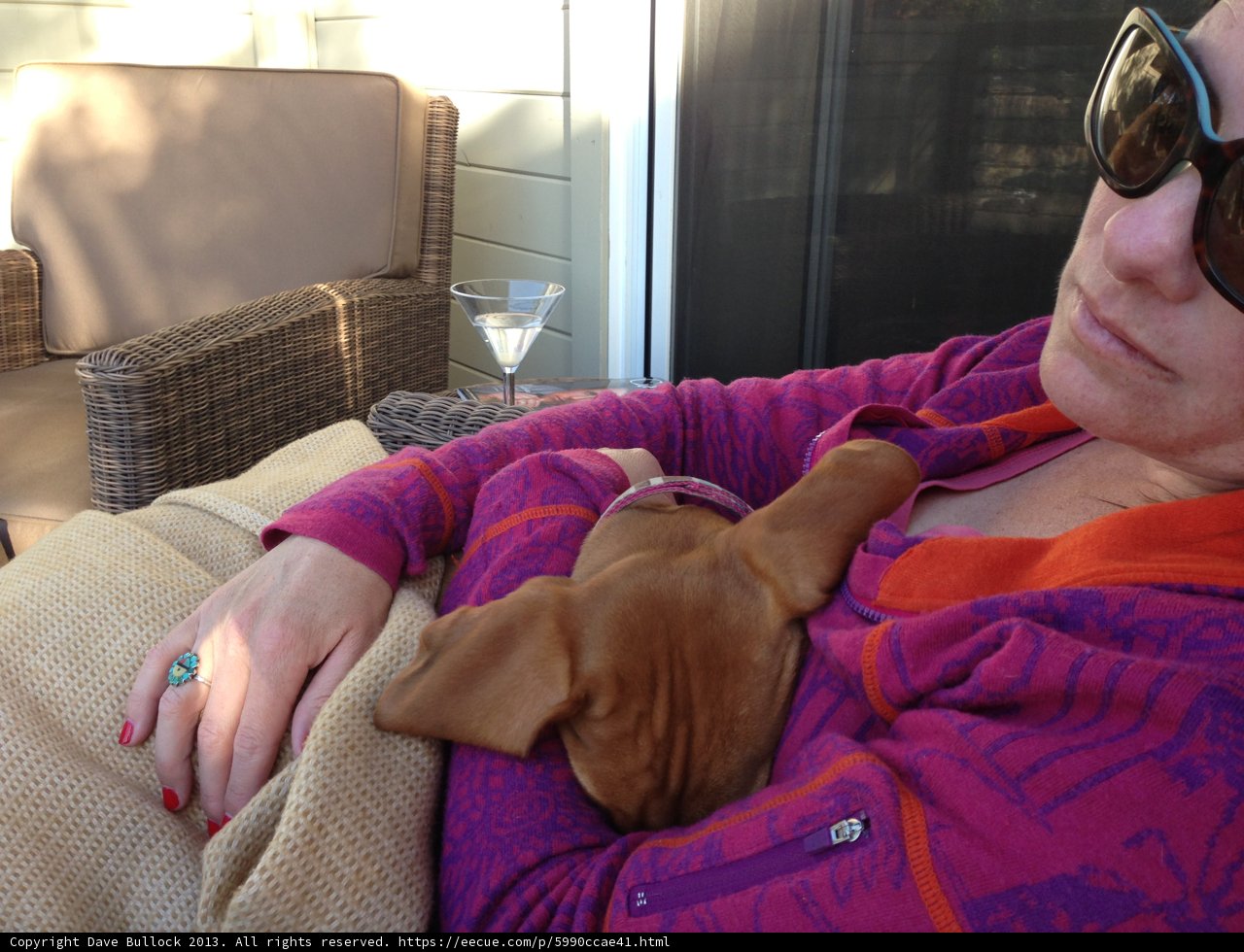 Woman Relaxing on a Couch in a Purple Sweater