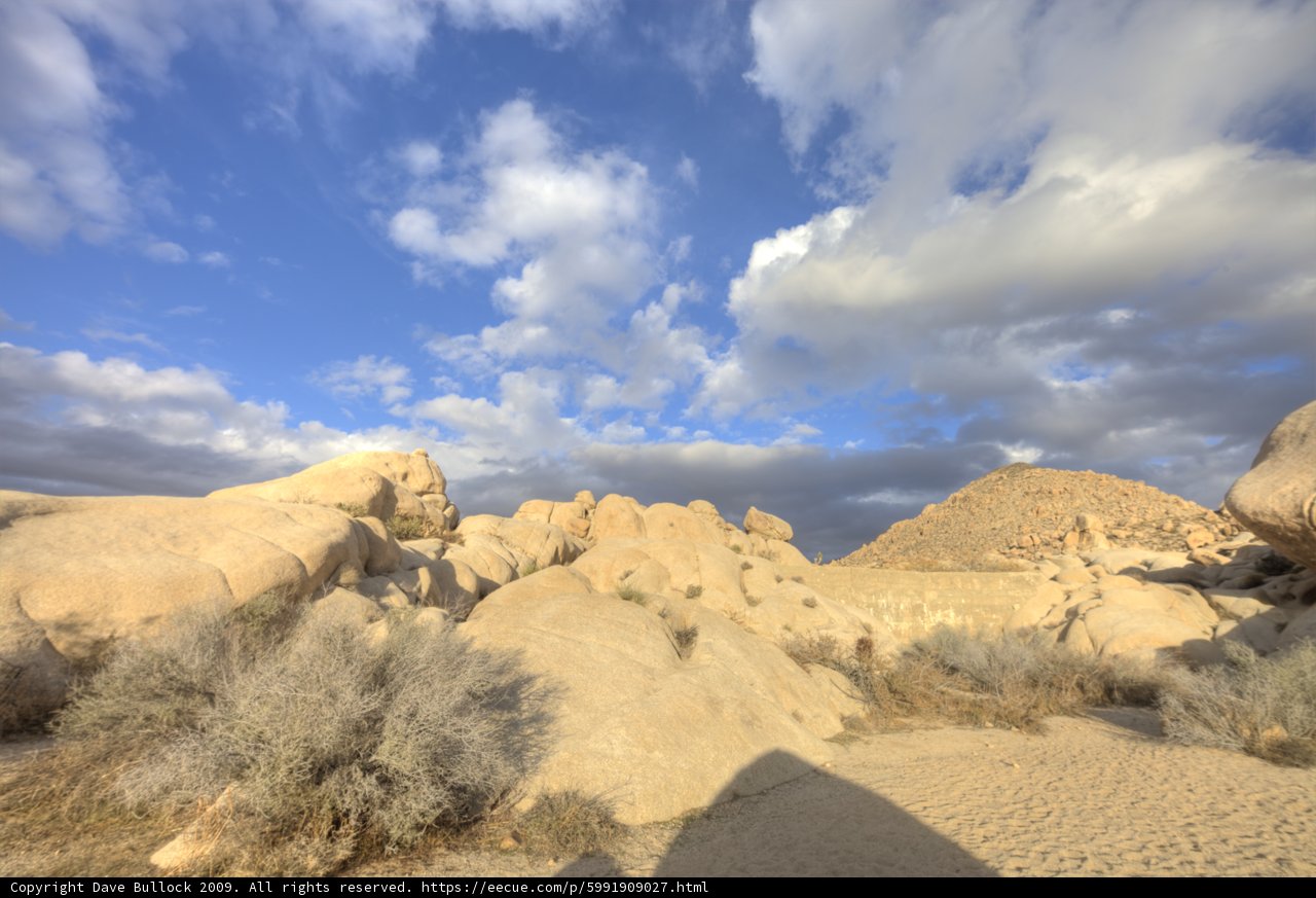 Desert Vista