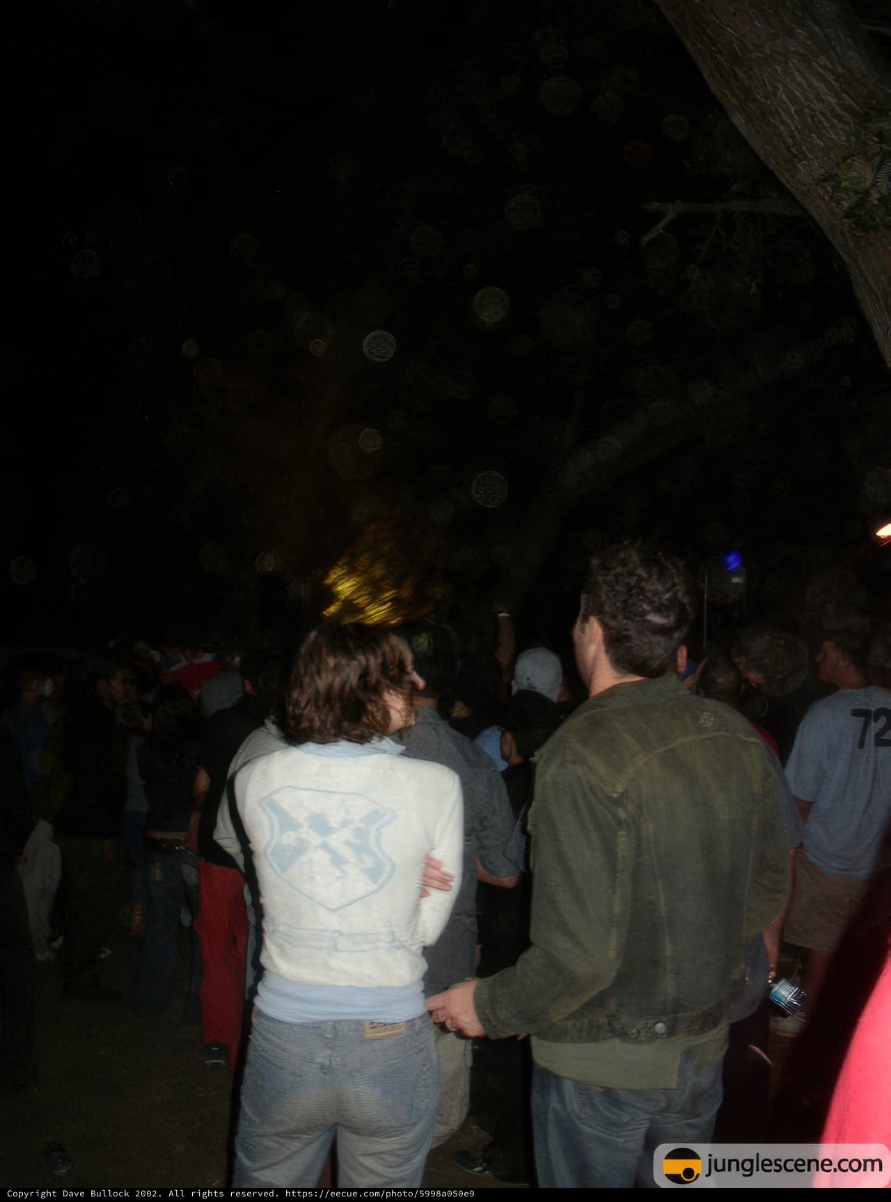 Night Club Gathering