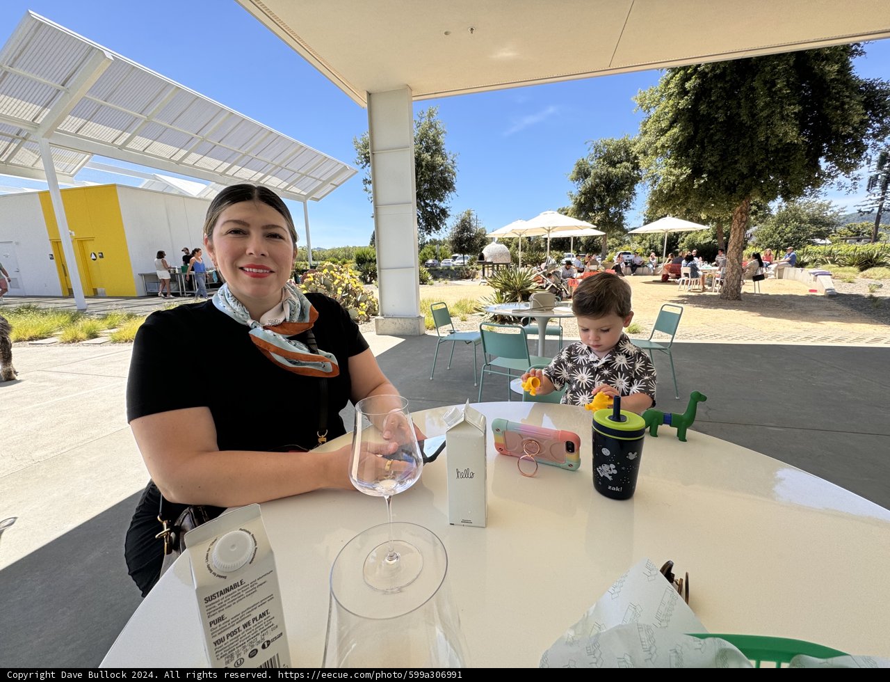 Sunny Afternoon in Napa