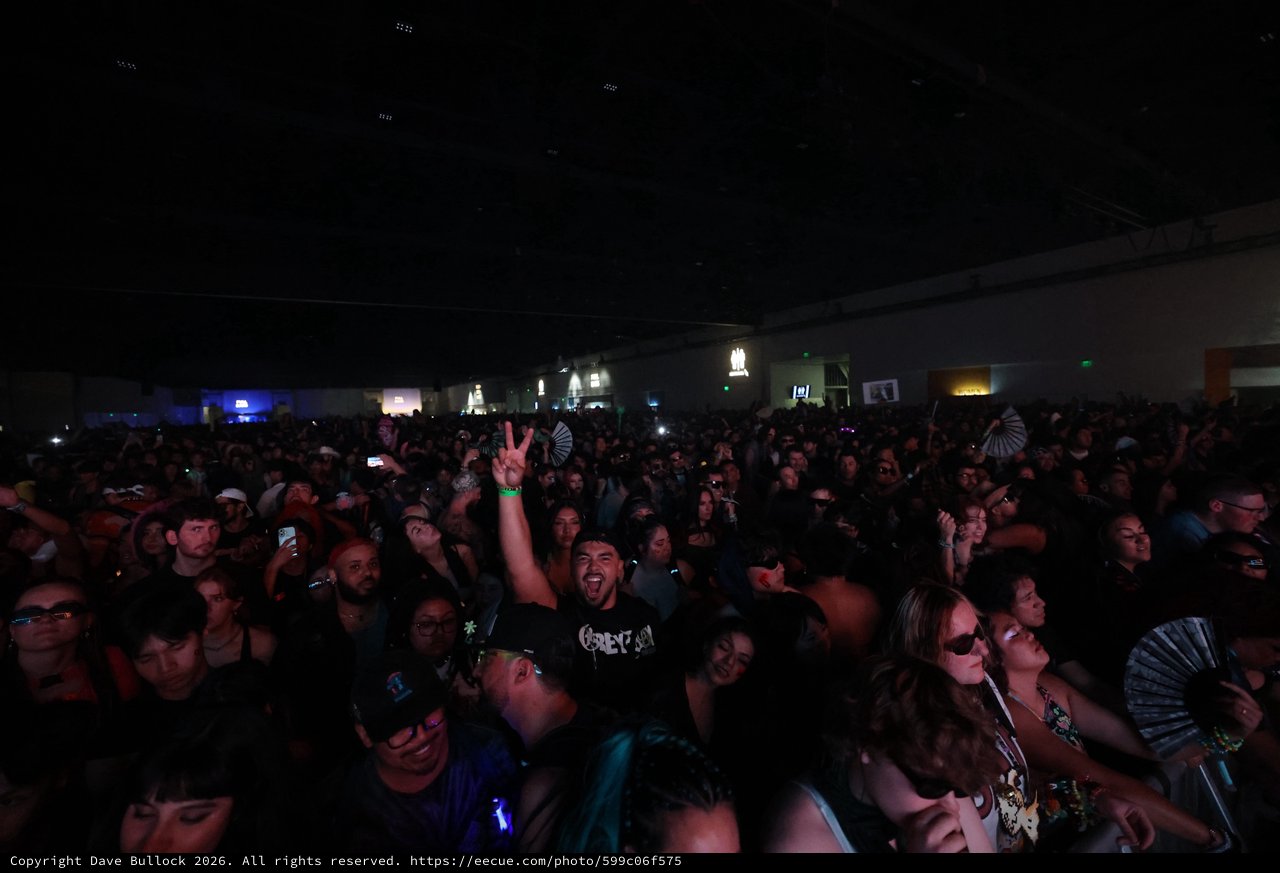Euphoric Crowd Erupts at Wobbleland 2026 Festival
