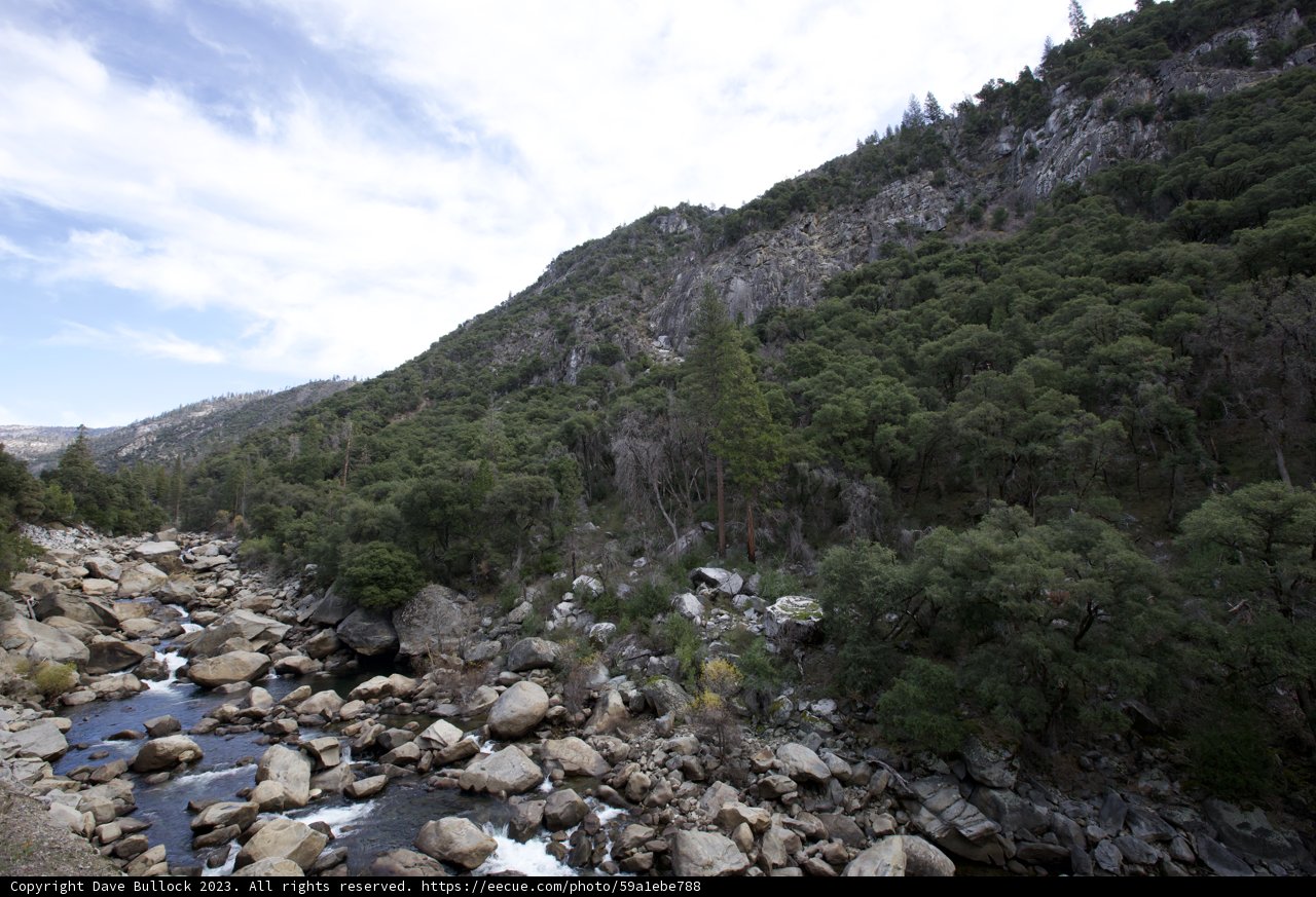 Serenity Within Yosemite's Rugged Wilderness