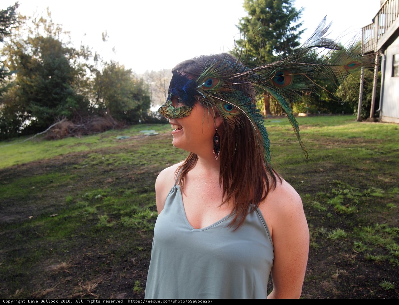 Peacock Feather Masquerade Mask in Golden Hour