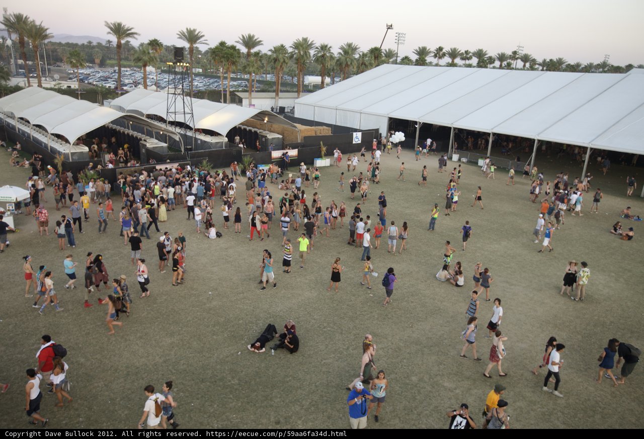 The Throngs Thrive at Coachella