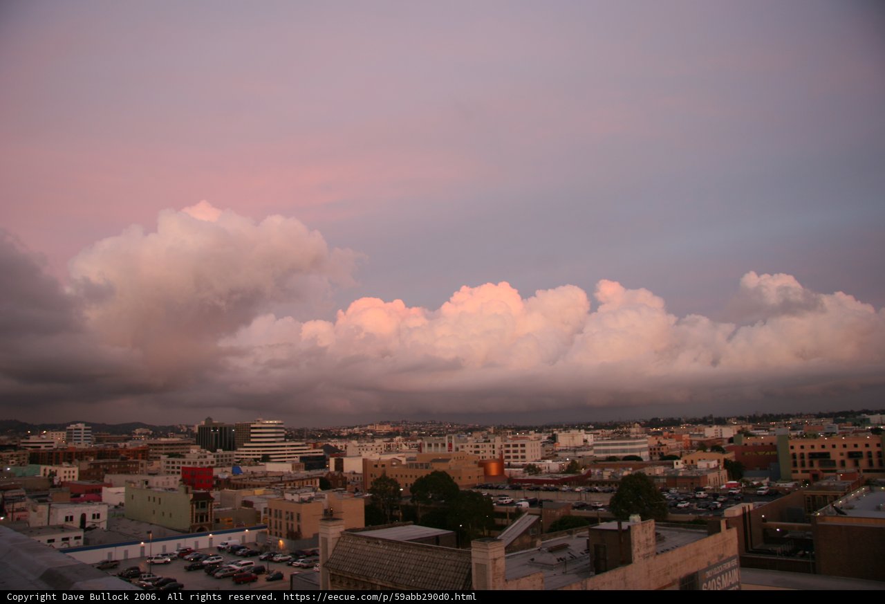 Pink Skies Over the Urban Jungle