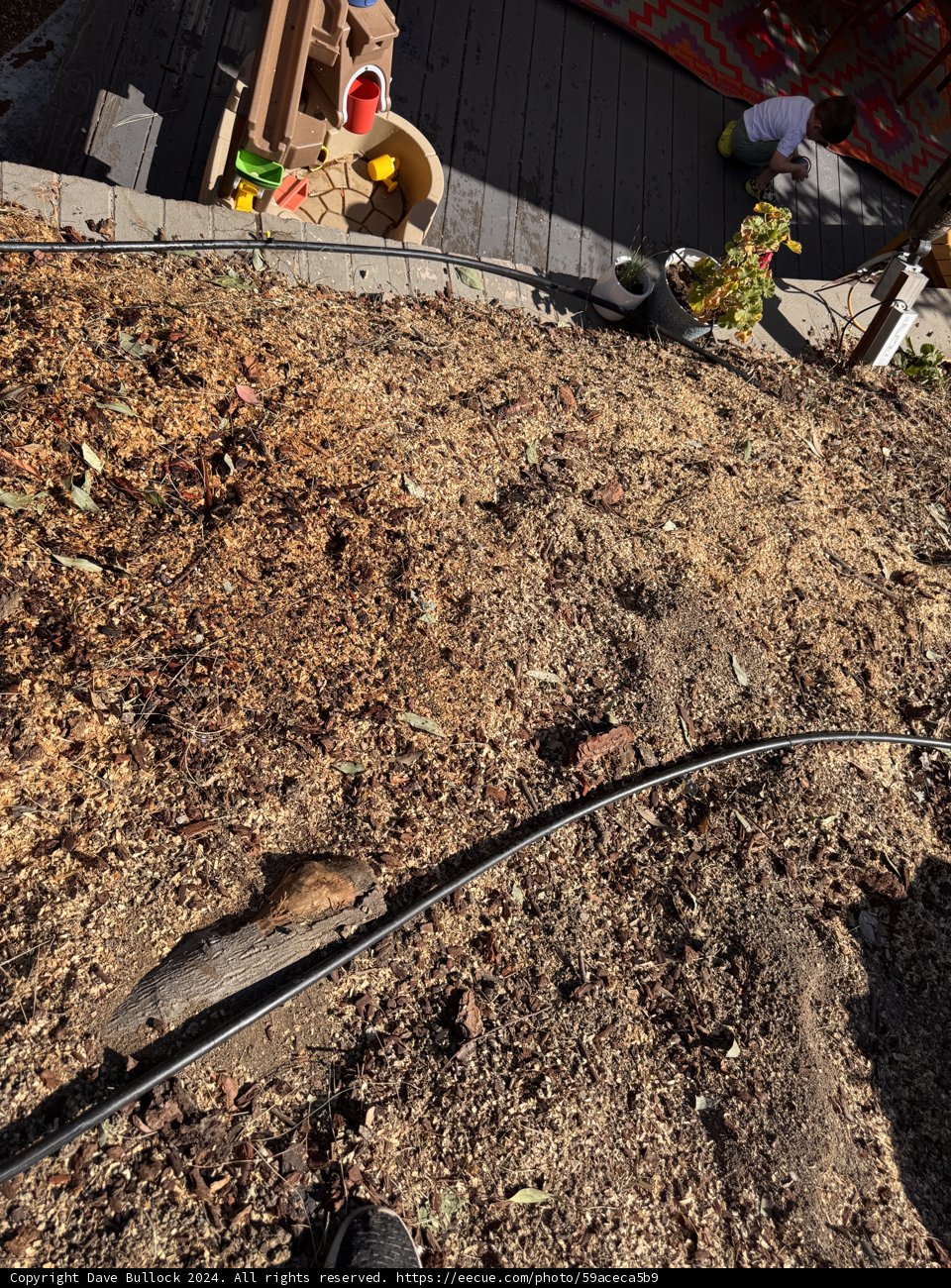 Backyard Discovery