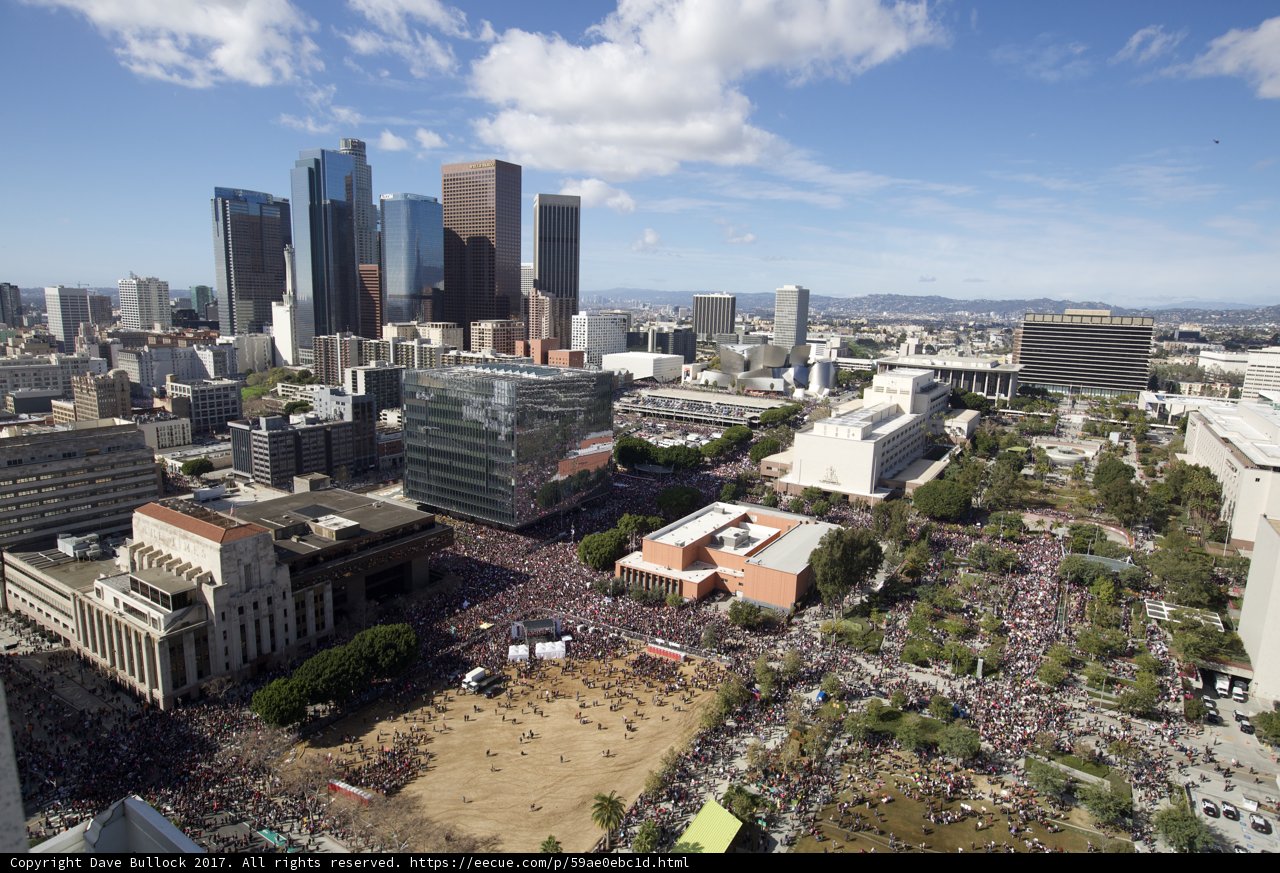 Aerial View of the Urban Jungle