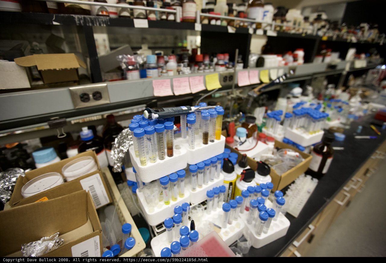 Inside the UCLA Nanomachines Laboratory