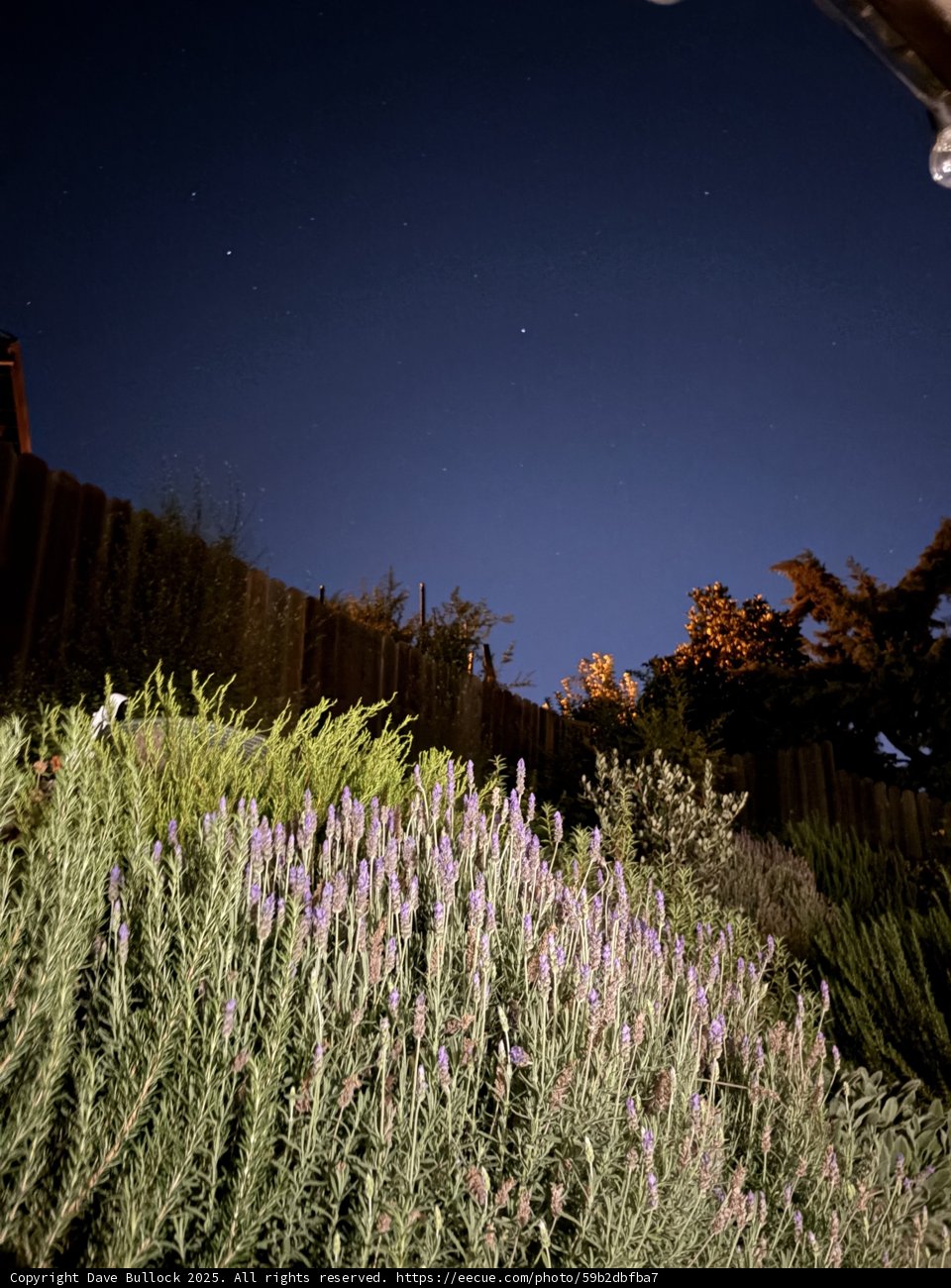 Serenity Under the Stars