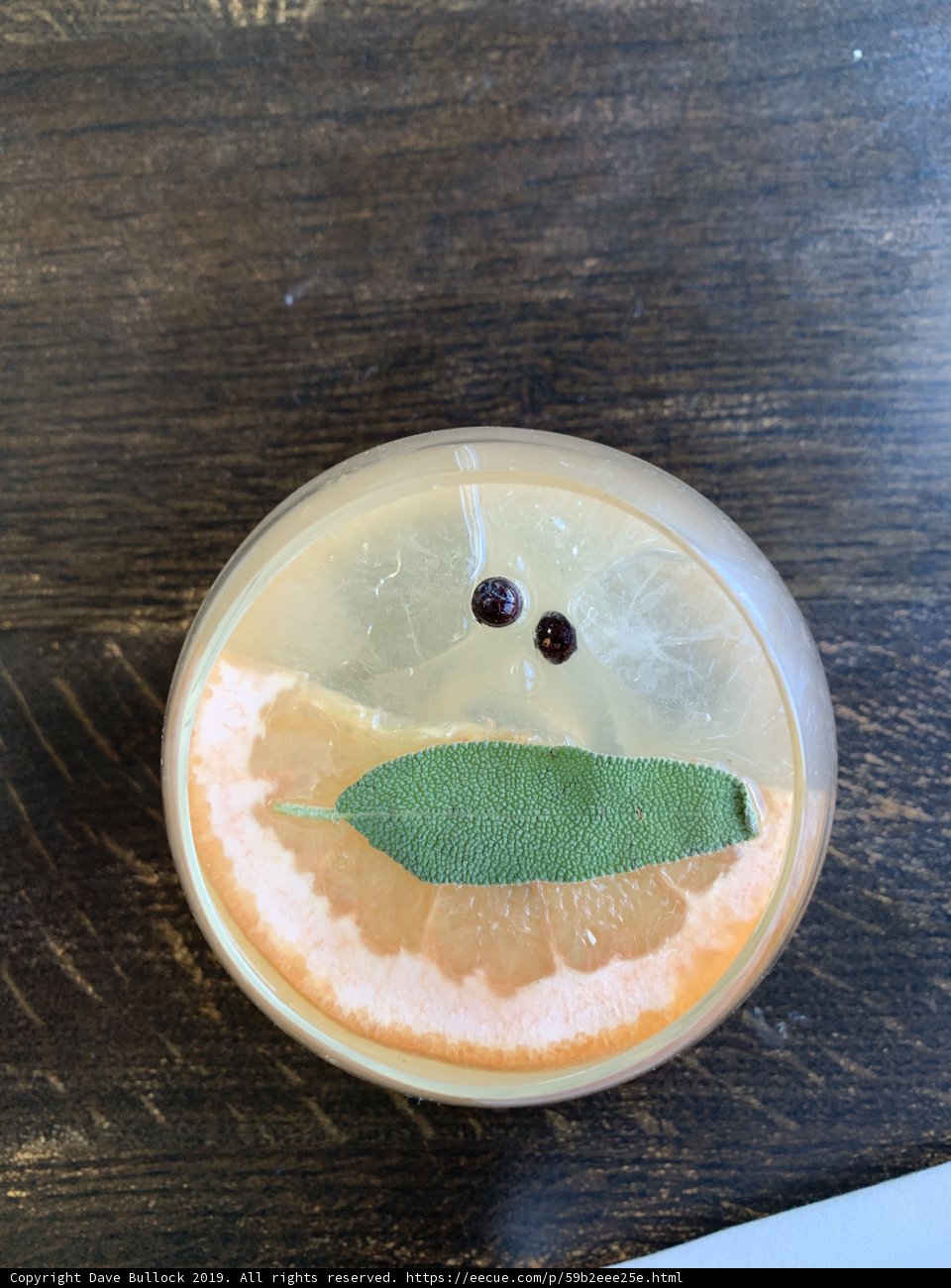 Happy and Refreshing Drink