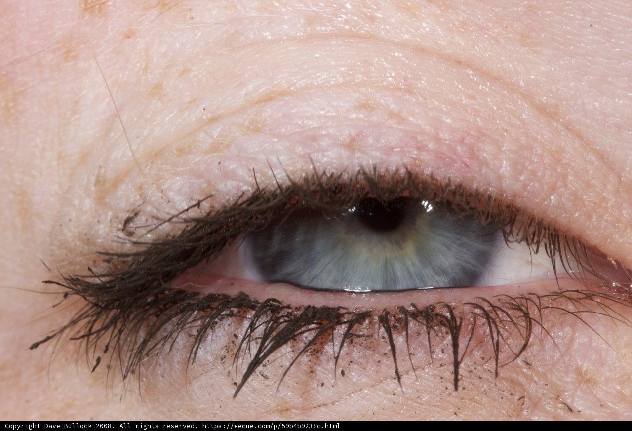 Freckled Eye Gazing into the Desert