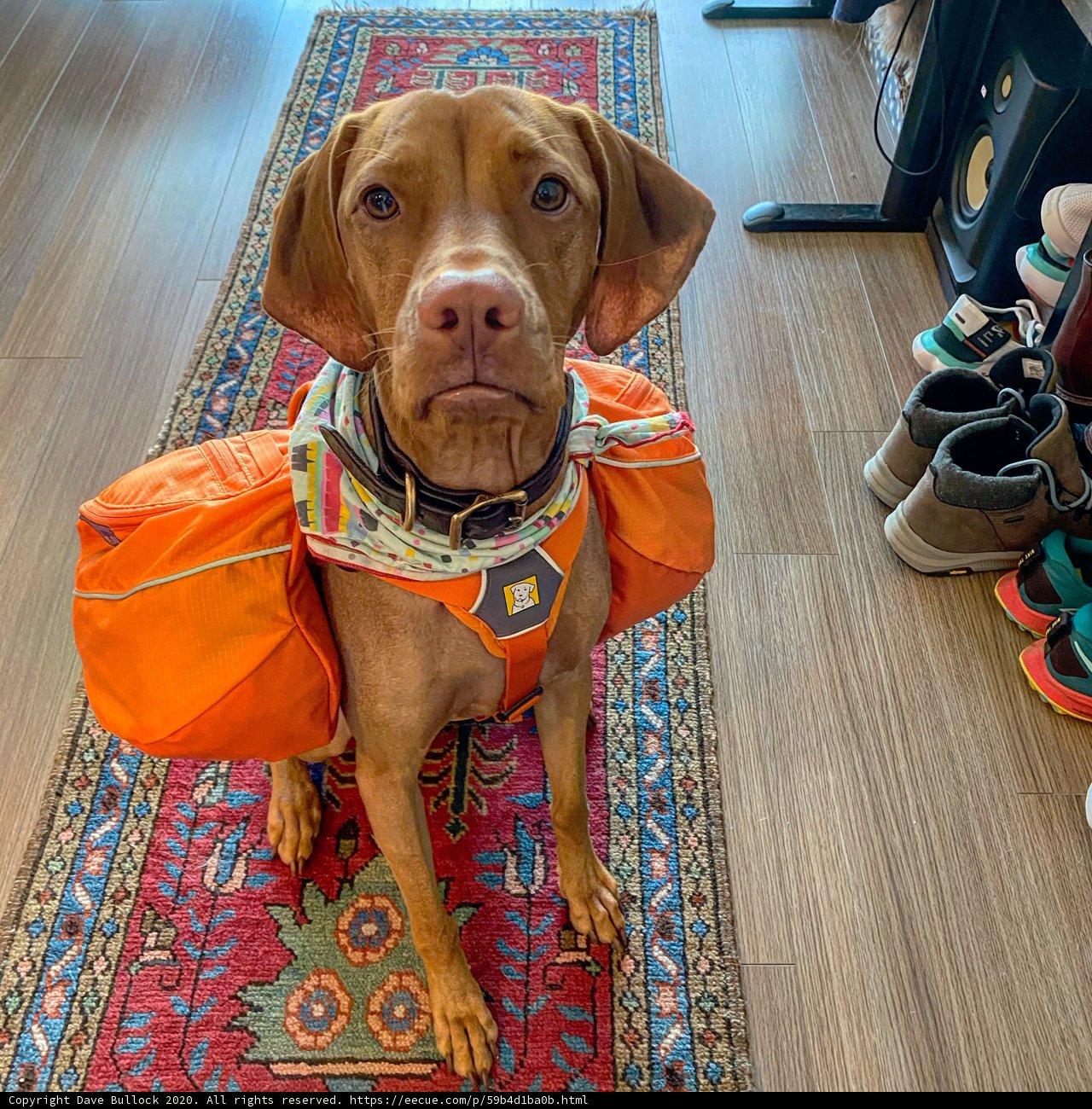 Backpack Buddy