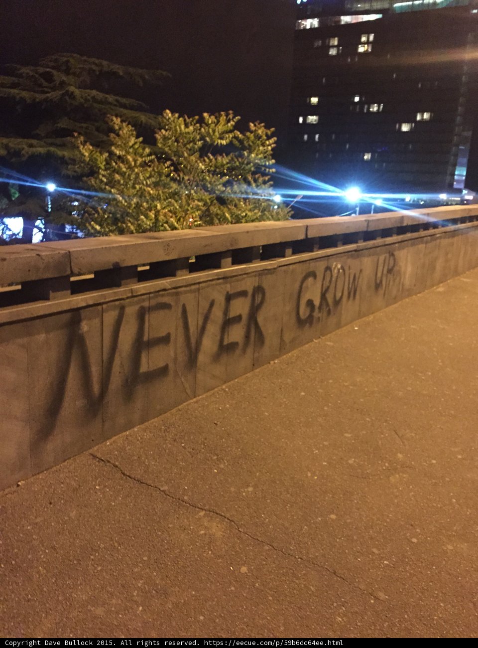Never Grow Up Graffiti