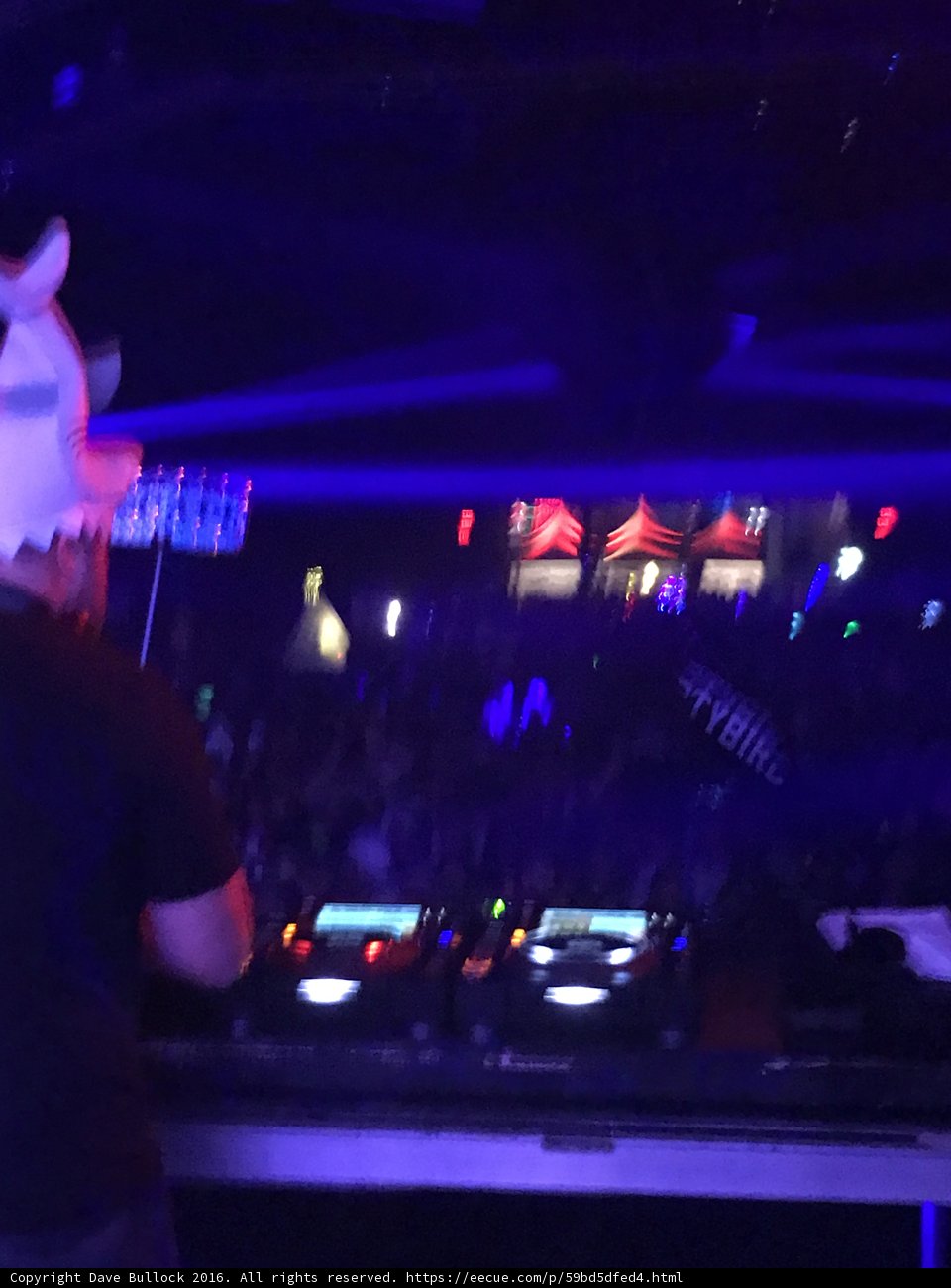Bunny Man Rocks the Night