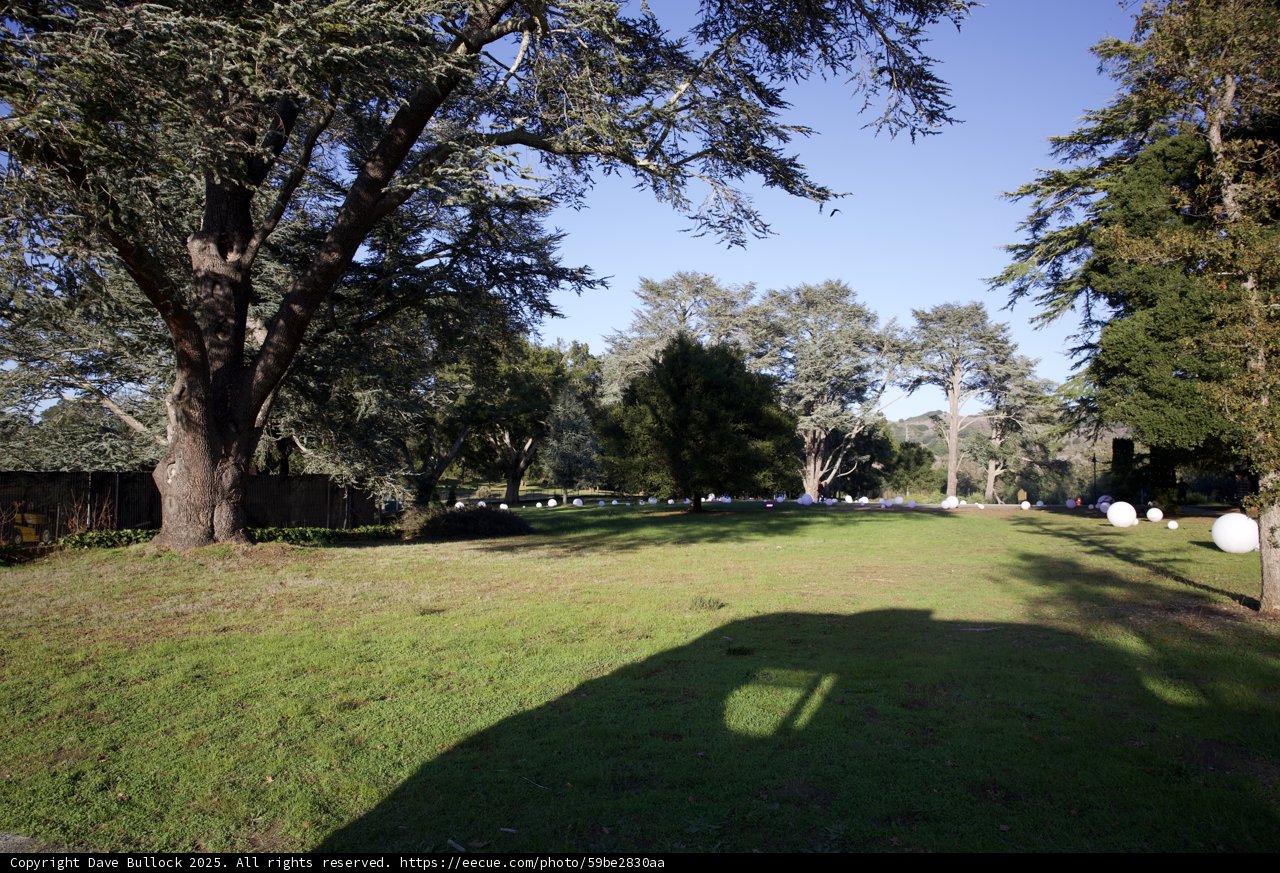 Afternoon Radiance at Thistlewyck