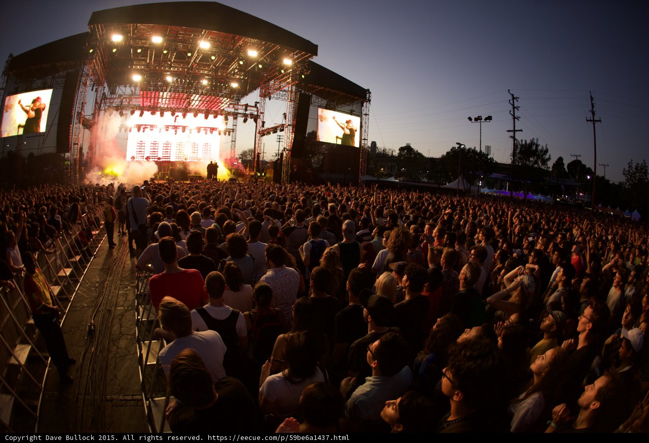Festival Crowd Wide Shot