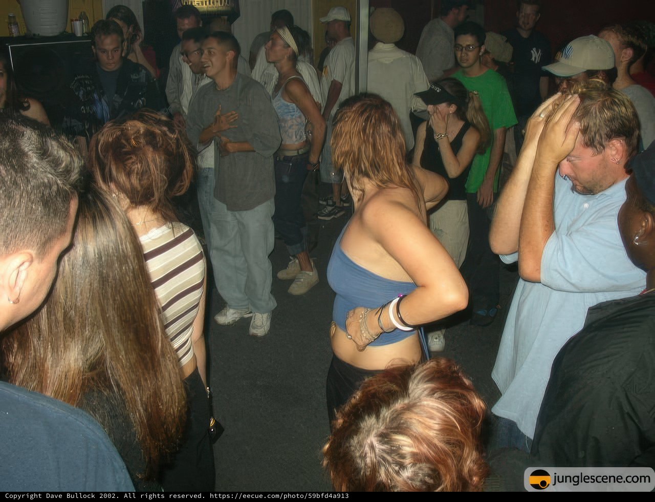 Nightlife Gathering in a Club