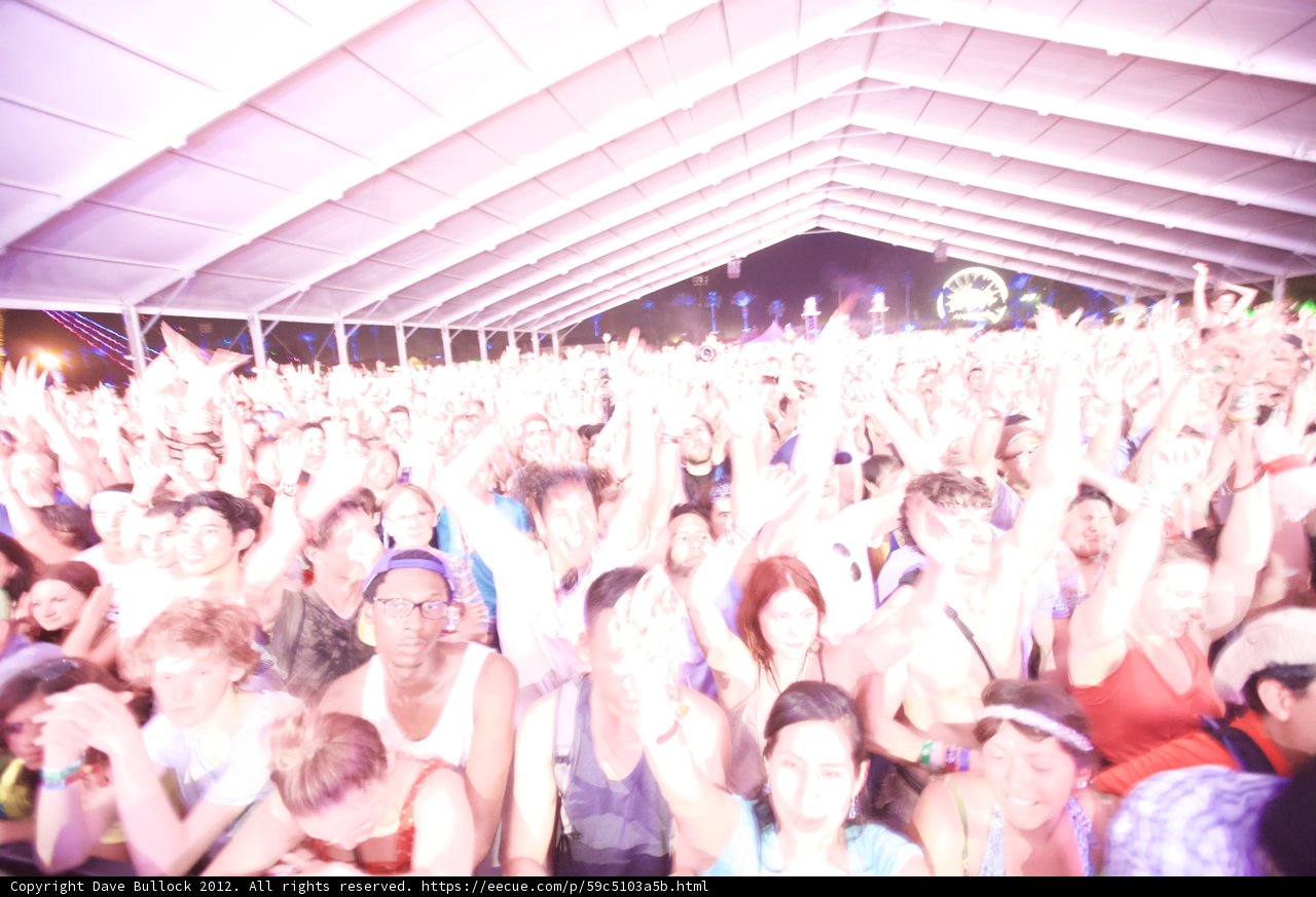 Concert-goers soak up the fun at Coachella 2012