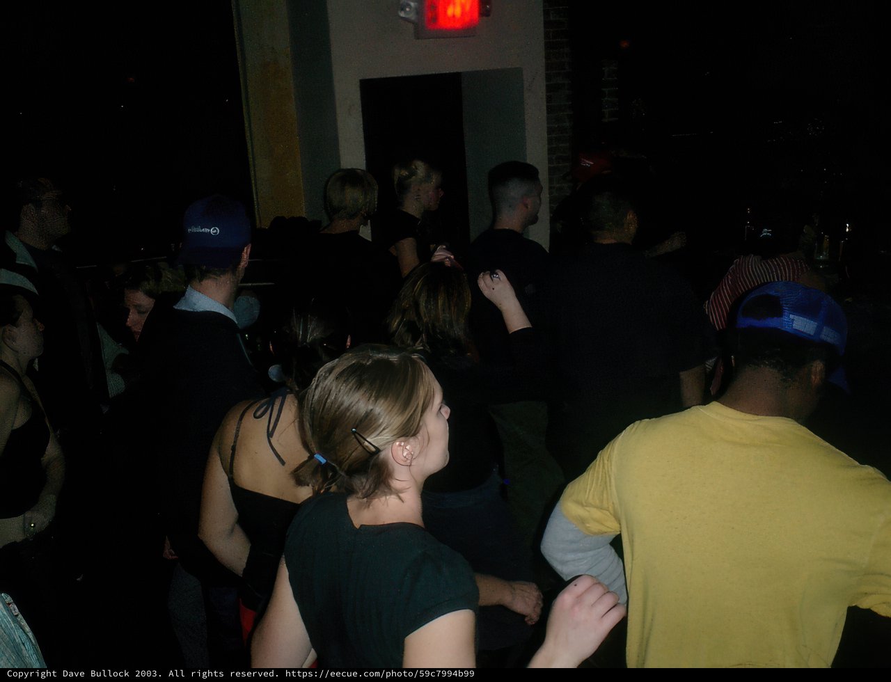 Night of Revelry: Inside the Urban Jungle