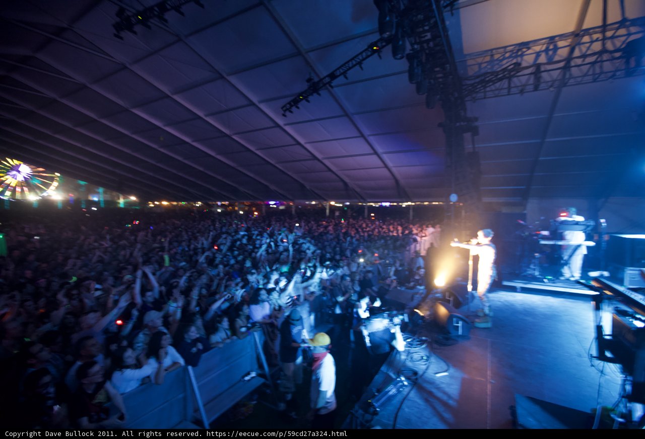 Bright Lights and Wild Nights