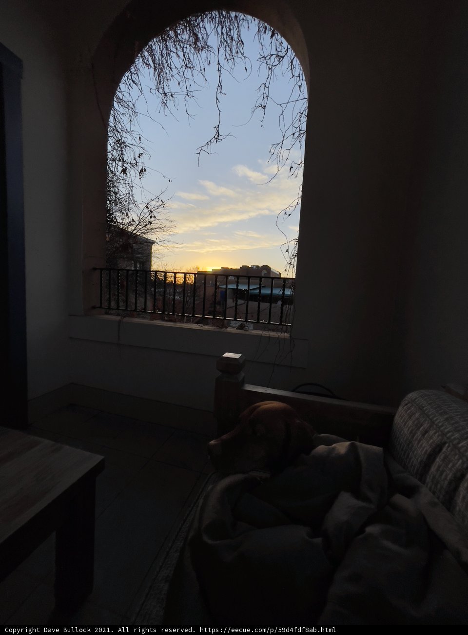 Cozy Canine Corner